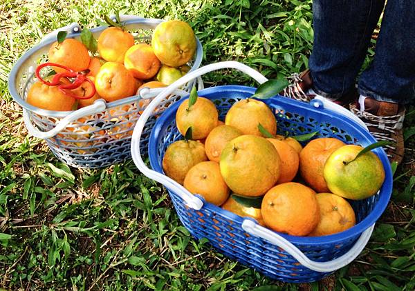 yunxian06.jpg yunxian06.jpg