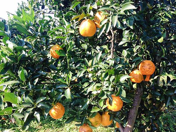 yunxian02.jpg yunxian02.jpg