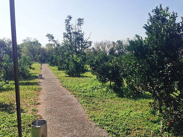 yunxian01.jpg yunxian01.jpg