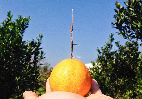 yunxian07.jpg yunxian07.jpg