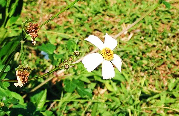 yunxian08.jpg yunxian08.jpg