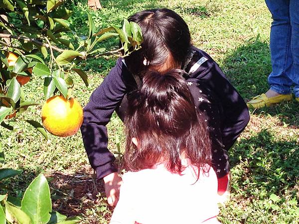 yunxian09.jpg yunxian09.jpg