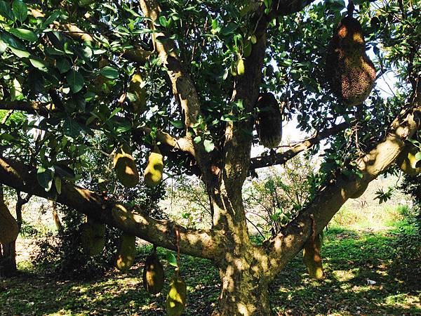 yunxian11.jpg yunxian11.jpg