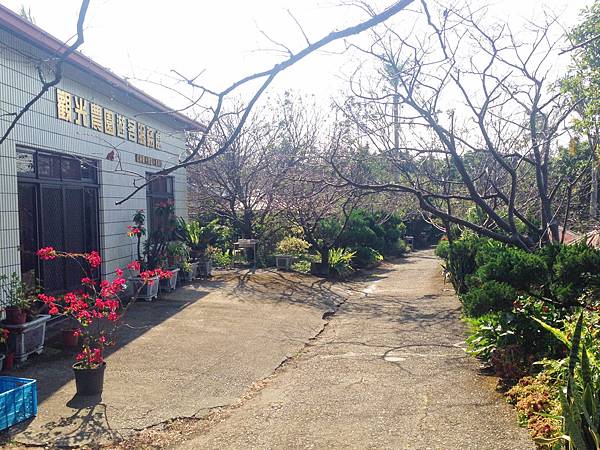 yunxian20.jpg yunxian20.jpg