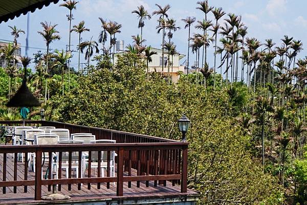 fotor100.jpg fotor100.jpg