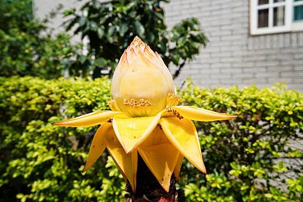 fotor113.jpg fotor113.jpg