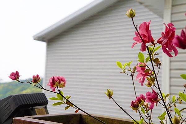 fotor162 拷貝.jpg fotor162 拷貝.jpg