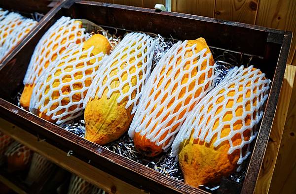 tree15.jpg tree15.jpg