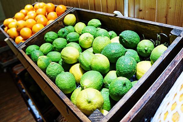 tree16.jpg tree16.jpg