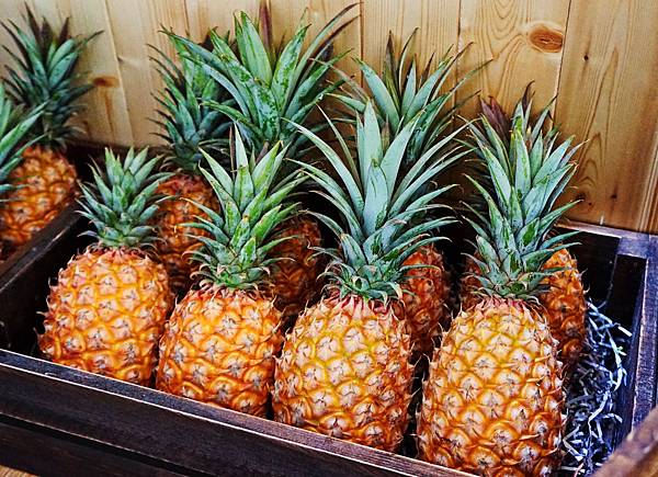 tree17.jpg tree17.jpg