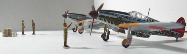 SDC10959.JPG SDC10959.JPG