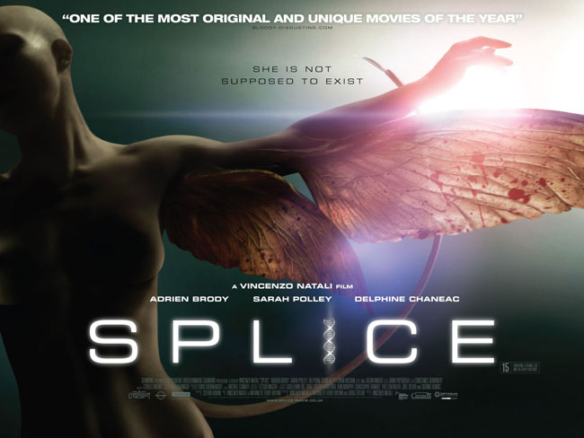 Splice-01.jpg