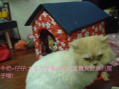 DSC02845.JPG DSC02845.JPG