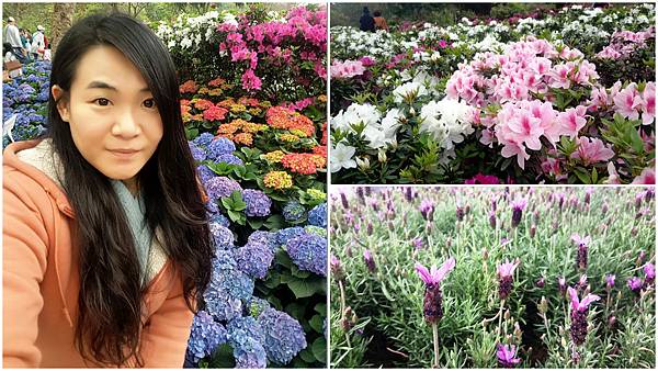 首圖1 (1).jpg 首圖1 (1).jpg