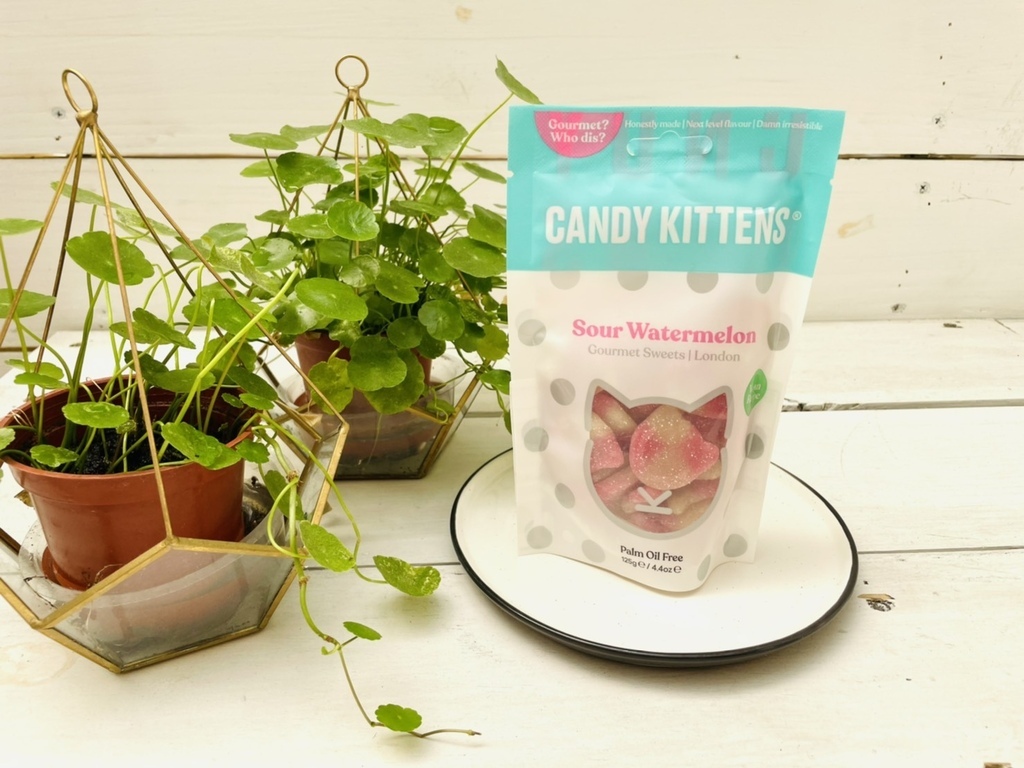 2Candy Kittens 英國喵屋軟糖_蘇格蘭西瓜男爵貓 (3).jpg