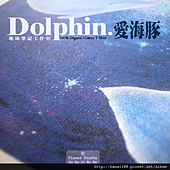DolphinT-6.jpg