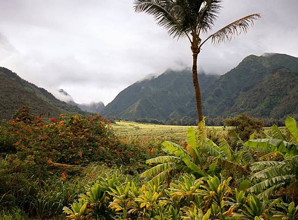 maui-tropical-plantation-1745-63298f8883e97d4efd7d1573e5cf8cd2.jpg maui-tropical-plantation-1745-63298f8883e97d4efd7d1573e5cf8cd2.jpg