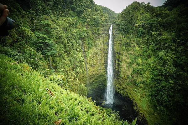 Akaka Falls 拷貝.jpeg