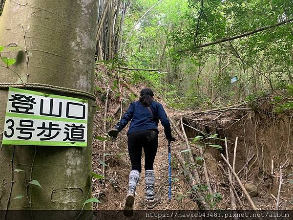 龍王峽谷&柚子山