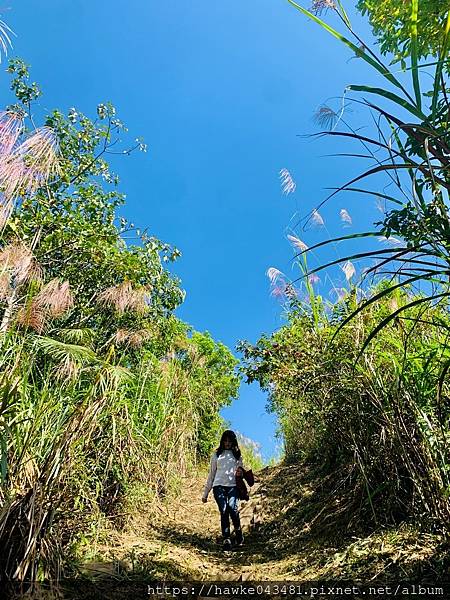 鱷魚島－金瓜石－地質碉堡_機車二日遊