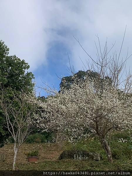 豪華雙子卷(錦屏之美)