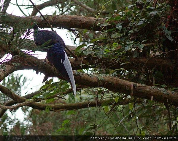 光復節連假(上)
