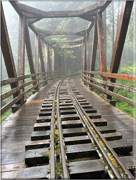 閒散輕遊阿里山