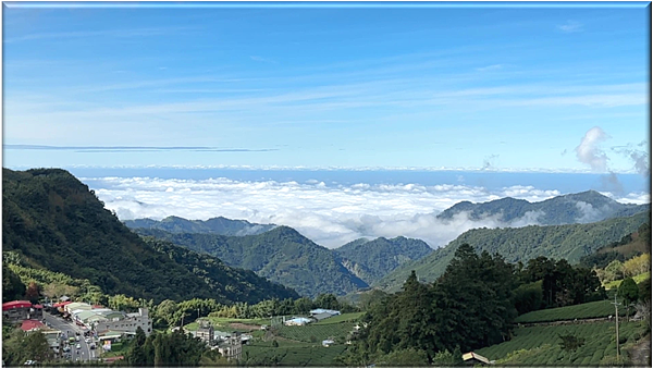 閒散輕遊阿里山