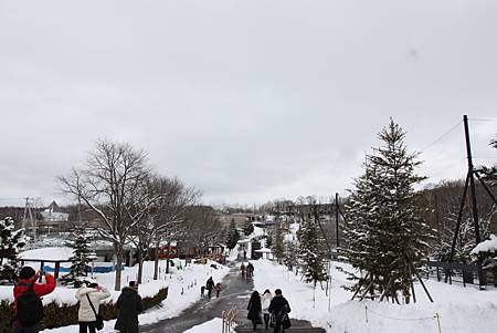 IMG_8719.JPG IMG_8719.JPG