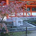 040-平安神宮苑.JPG