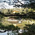 020-鐘湖池與金閣寺-1.JPG