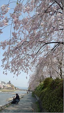 20180401-Kyoto-090.JPG