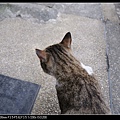NEKO002-11.jpg