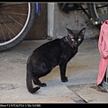 NEKO004-03.jpg