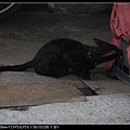 NEKO004-04.jpg