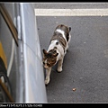 NEKO012-05.jpg