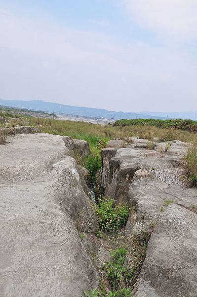 005大安溪岩層.jpg