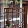 nEO_IMG_DSC_0768.jpg