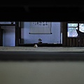 nEO_IMG_DSC_0793.jpg