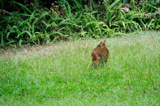 DSC_1306.jpg DSC_1306.jpg