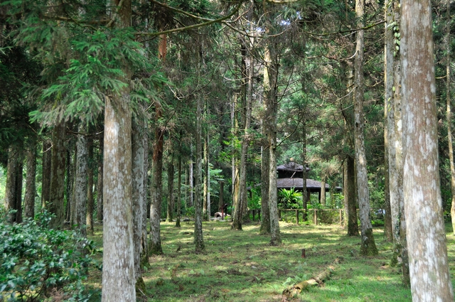 DSC_1341.jpg DSC_1341.jpg