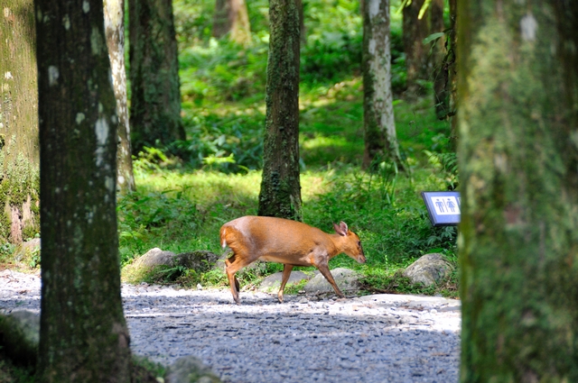 DSC_1350.jpg DSC_1350.jpg