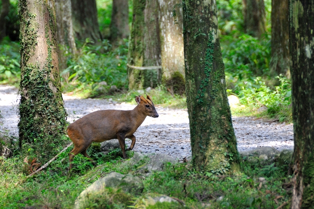 DSC_1352.jpg DSC_1352.jpg