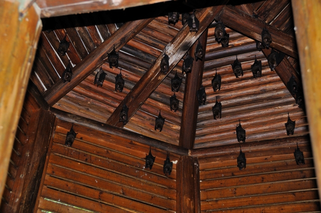 DSC_1353.jpg DSC_1353.jpg