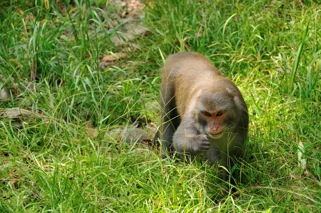 DSC_1385.jpg DSC_1385.jpg