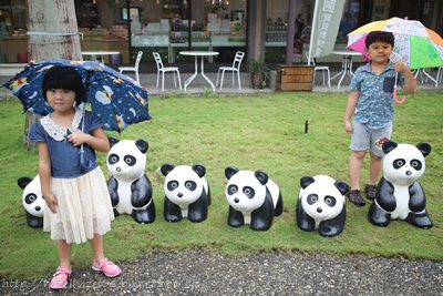 IMG_3587 IMG_3587