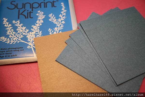 IMG_8479.JPG IMG_8479.JPG