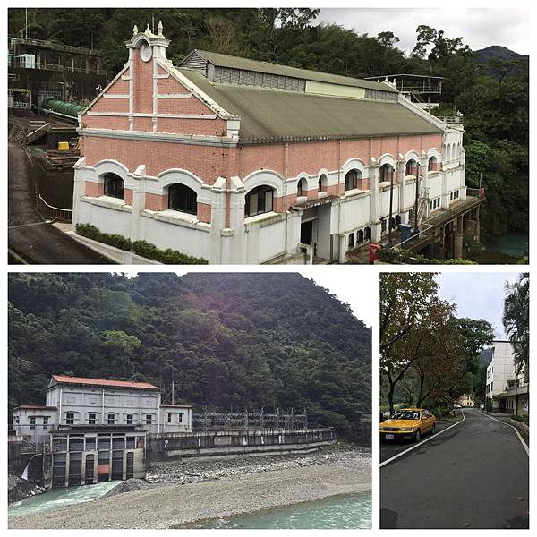 小烏龜.jpg 小烏龜.jpg