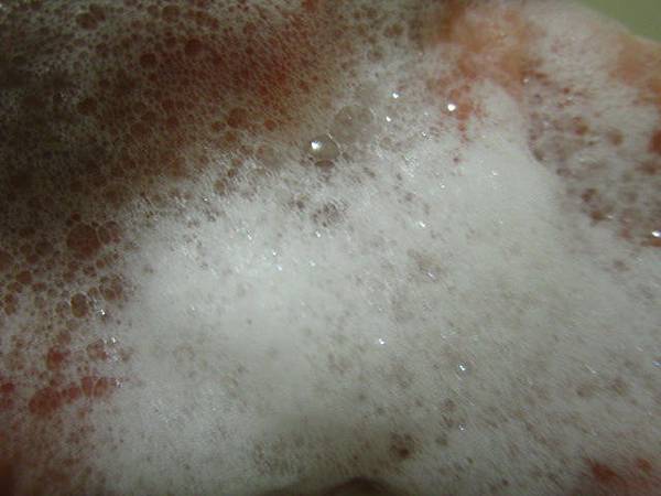 Morgan's 皇家精質馬奶彈力滋養潤膚皂-泡沫(2)