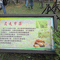 三芝一日農夫樂活趣-3-1.gif